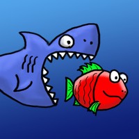 Shark Logic