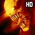 Shoot To Kill HD