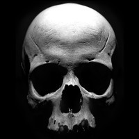 Sons of Anarchy_ The Prospect