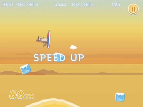 South Surfers