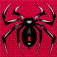Spider Solitaire: Card Game