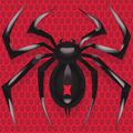 Spider Solitaire: Card Game