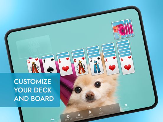 Spider Solitaire: Card Games