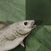 Stockfish Chess