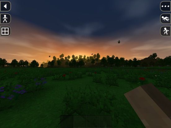Survivalcraft
