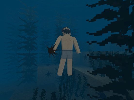 Survivalcraft 2