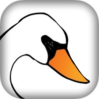 Swan