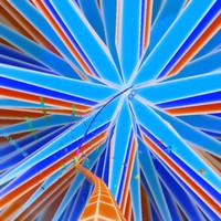 Synesthetic