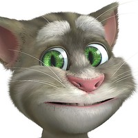 Talking Tom Cat 2