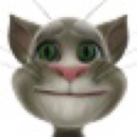 Talking tom 2