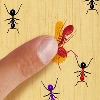 Tap Tap Ants Pro