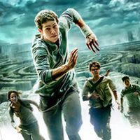 The Maze Runner