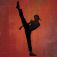 The Karate Kid