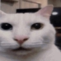 Uncanny Cat Golf