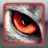 Vampire & Werewolf