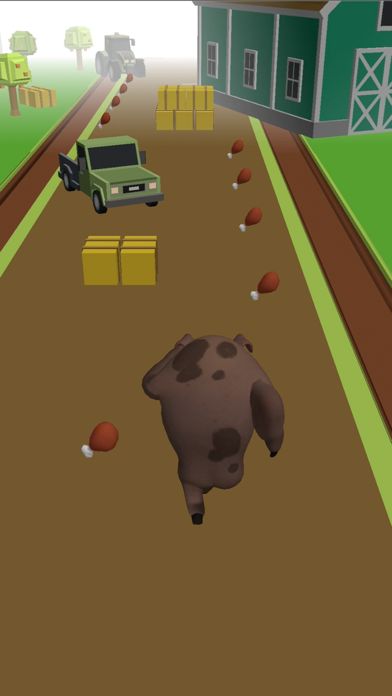 Vegan Run