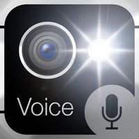 Voice Flashlight