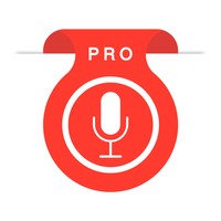 Voice Recorder [PRO]