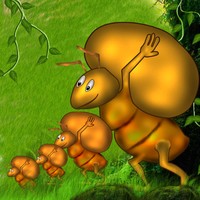 Wild Ants