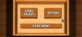 Wooden Labyrinth 3D