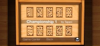 Wooden Labyrinth 3D
