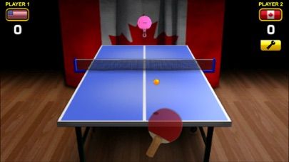 World Cup Table Tennis - El adictivo juego clásico en 3D