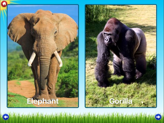 Zoo Sounds Lite - A Fun Animal Sound Game for Kids
