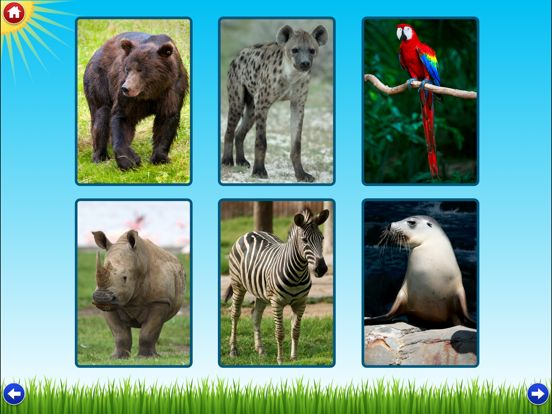 Zoo Sounds Lite - A Fun Animal Sound Game for Kids