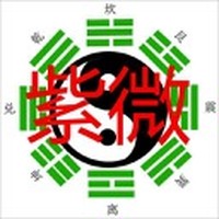 易仙紫微斗數 (AI分析)