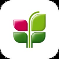 Ренессанс Банк