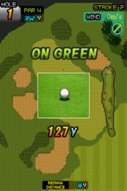 Pro Golf 2010