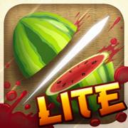 Fruit Ninja Lite 1.1