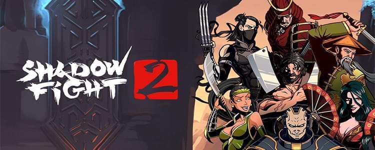 Shadow Fight 2