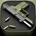 iGun Pro