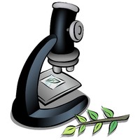 iMicroscope