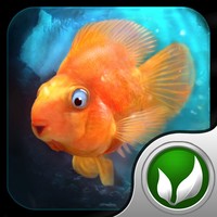 iQuarium