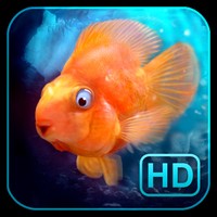 iQuarium HD