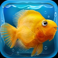 iQuarium HD