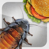 iRoach HD