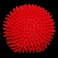 iSqueek - Dog Squeak Toys