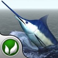 i Fishing Saltwater Edition