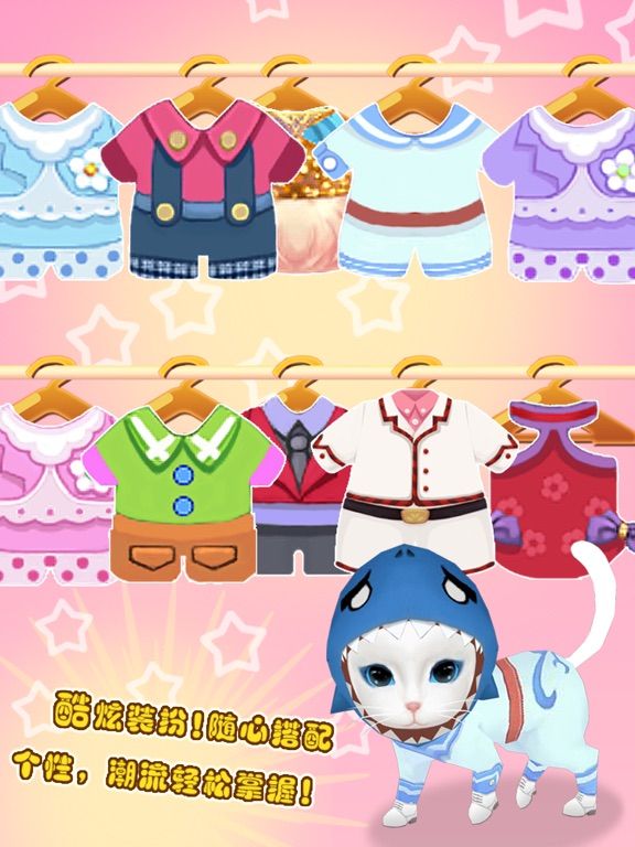 晴天小猫
