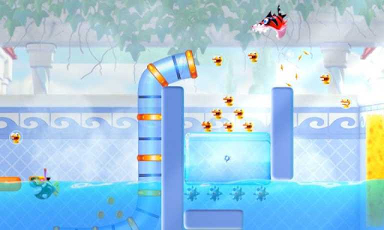 Shark Dash