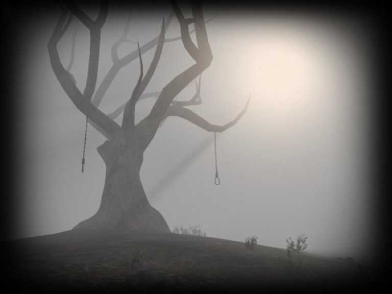 Slender Rising Free