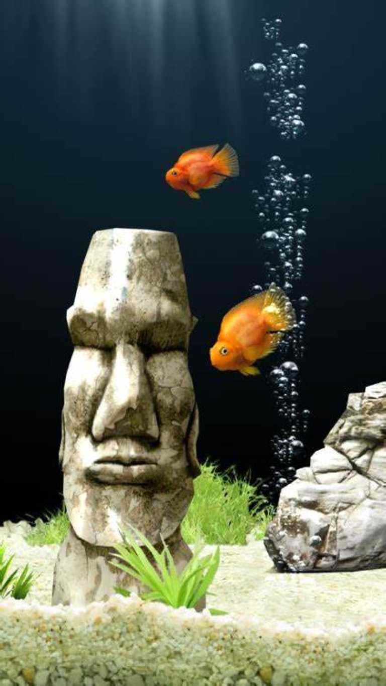 iQuarium