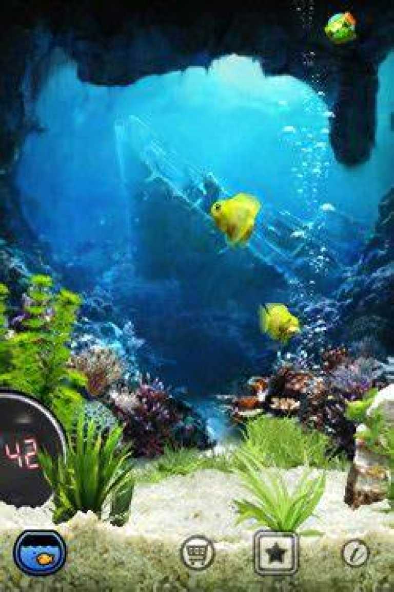 iQuarium