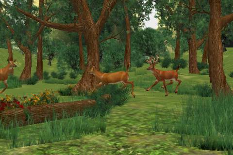 Big Buck Hunter Pro