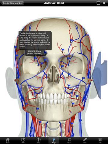 The Cardiovascular System - iPad edition