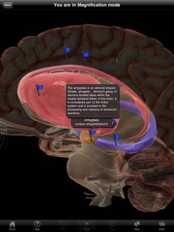 The Nervous System - iPad edition