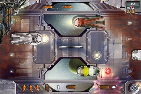Cat Run